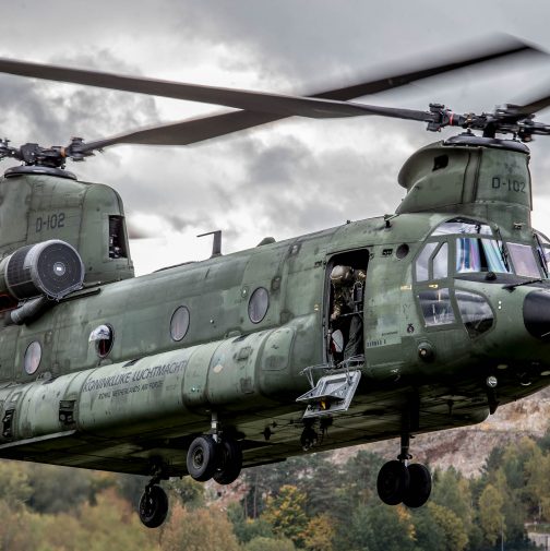 Chinook