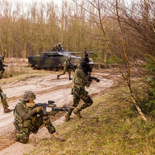 Nederlandse militairen in Litouwen