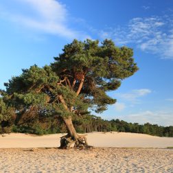 soest natuur dagje uit
