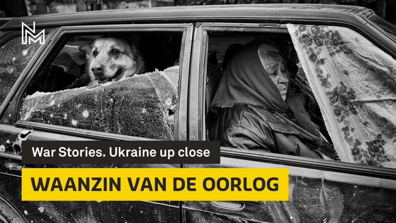 Videoserie War Stories - Waanzin van de oorlog